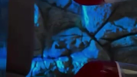 Личные и корпоративные бренды. Мобильный видеограф Анна Алхимова