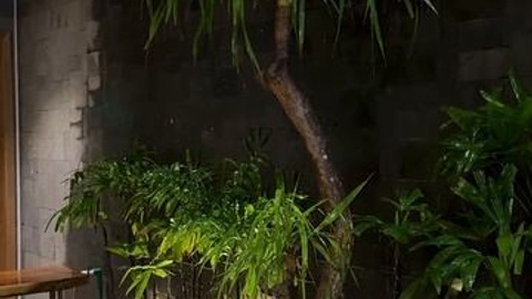 Отели. Видеосъёмка Монтаж Контент Reels в СПБ