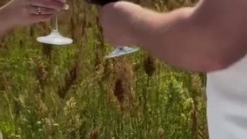 Wed video'24. Фотограф | Рилсмейкер