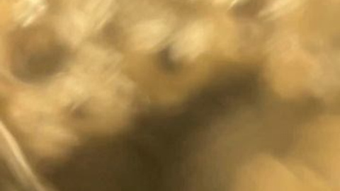 Рилсы. Фотограф и видеограф в Москве для реализации любой задумки Александр Кудрявцев