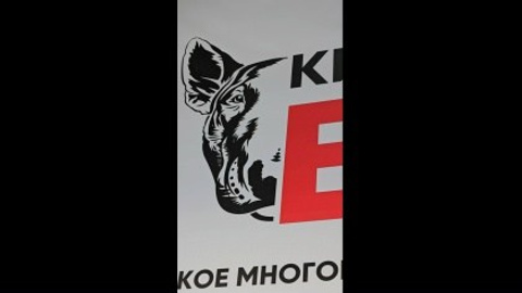 Видео. Фотограф-анималист|Иркутск