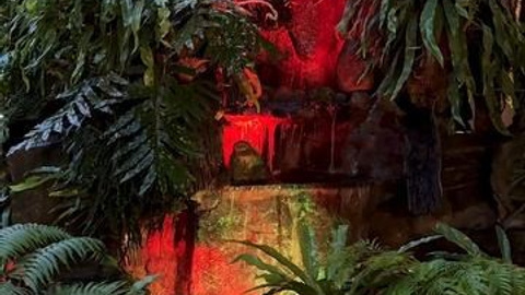 Интерьер. Видеосъёмка Монтаж Контент Reels в СПБ