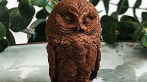 Видео созданные в нейросети AI. Женский фотограф в Новосибирске Вячеслав Семакин