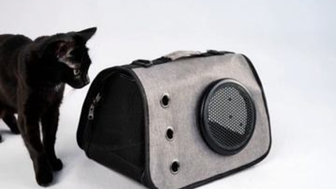 Видео созданные в нейросети AI. Женский фотограф в Новосибирске Вячеслав Семакин