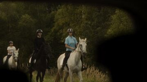 ZAZOR / cars photo & video. Видеограф в Москве Даниил Векшин