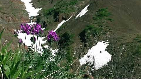 «Таймыр меняет тебя» («Taimyr changes you»). Someone from Russia aka RUS147