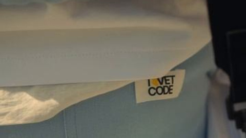 TSVETCODE: бренд одежды. Creation production reels