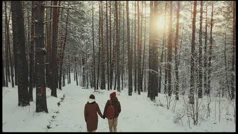 Зимняя прогулка № 1. Фотография