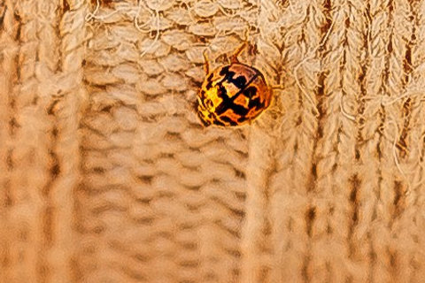 Скоро, скоро…уже завтра)