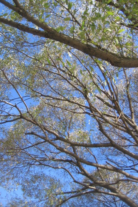 Истории. Индивидуальная и контент-съемка в Екатеринбурге и Нижнем Тагиле