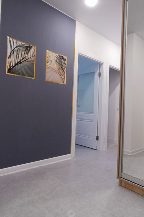 Новое Пушкино квартира для предметной съемки для маркетплейсов