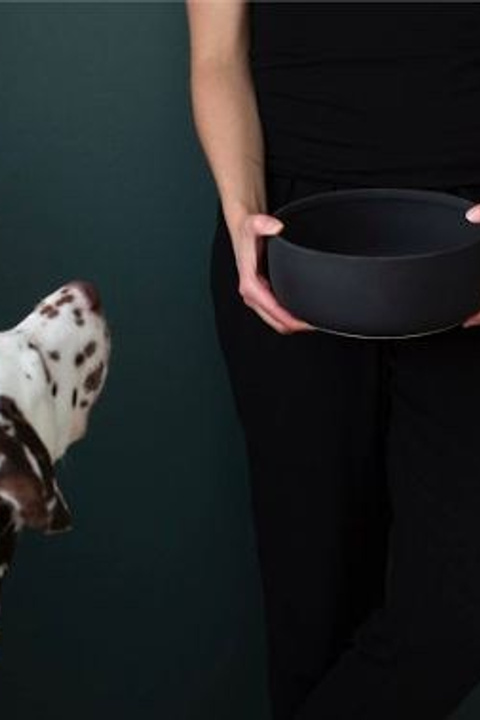 Предметная съемка для интернет, референсы товаров для животных