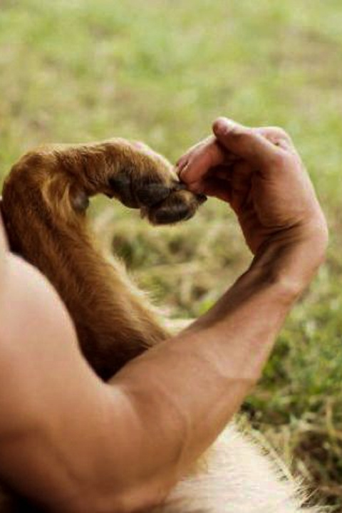 ИЩУТ ДОМ. Фотограф-анималист в Москве и Подмосковье