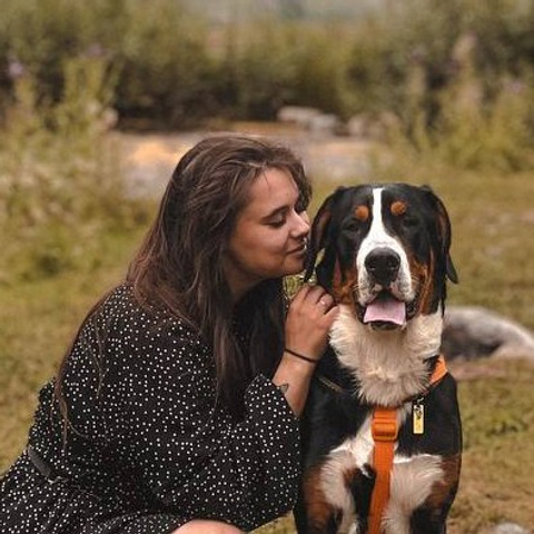 Отзывы. Питомник Больших Швейцарских Зенненхундов в Калужской области / Москва