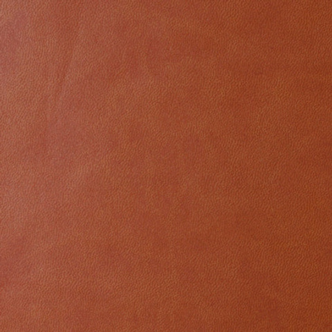 Искусственная кожа. Павел Будаев фотограф pro Улан-Удэ_Агинское_Иркутск