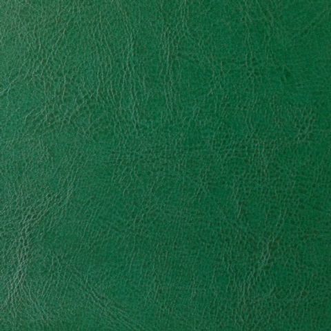 Искусственная кожа. Павел Будаев фотограф pro Улан-Удэ_Агинское_Иркутск