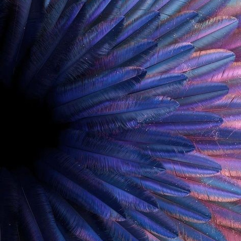 БЛОГ. Дизайн человека, Генные ключи, трасформоциональные игры