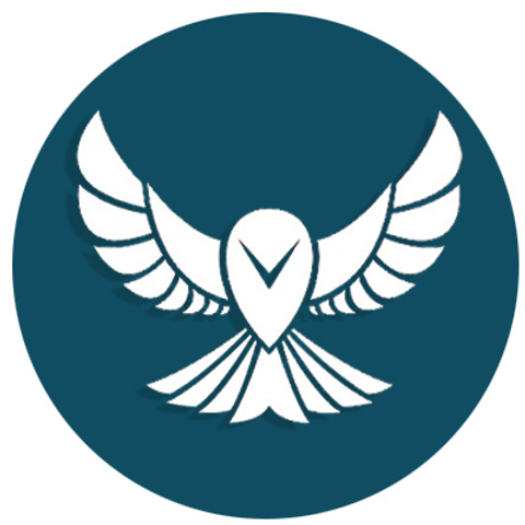 Отзывы о свадебном фотографе. Свадебный фотограф в Белгороде Косилов Денис