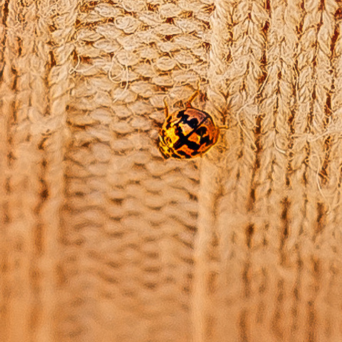 Отзывы. Съемка Таинств Крещения Венчания, детские и семейные съемки в Пензе