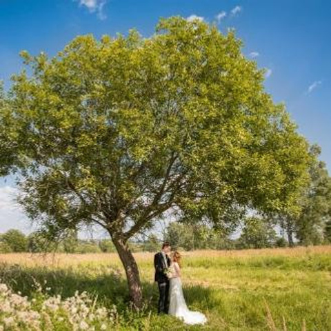 Отзывы. Свадебный фотограф Москва