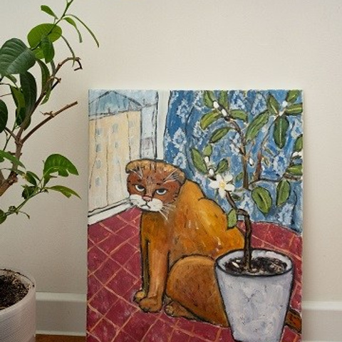 Серия «Коттириум» (2022-2025). Художник, фотограф Ирина Тен