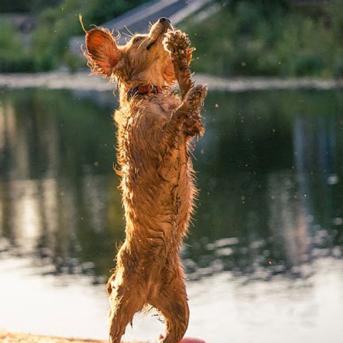 Отзывы. Saamill