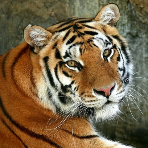 Отзывы. Алексей Поляков. Фотограф Екатеринбург. Фотограф в Екатеринбурге Поляков Алексей