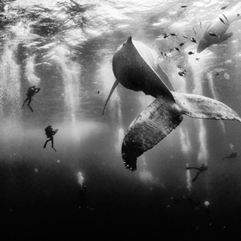 Онлайн-курс. Портретный фотограф в Санкт-Петербурге Алексей Корзов