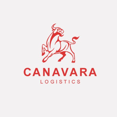 Отзывы клиентов о фотосессиях фотографа Василия Гуреева