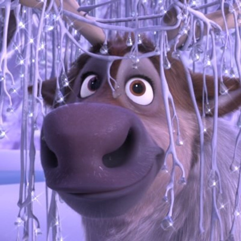 Отзывы. Иван Ефремов фотограф в городе Владивостоке