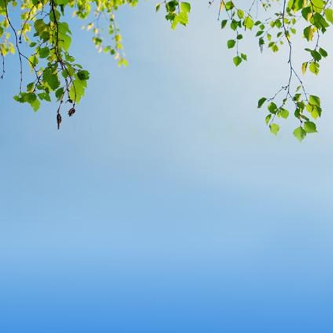 Каталог продукции