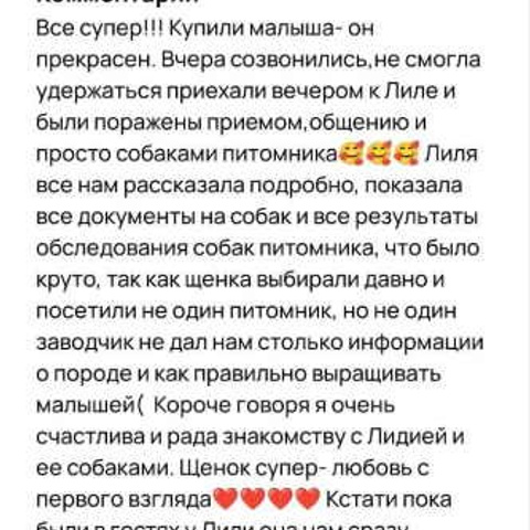 Отзывы. ПИТОМНИК СОБАК ПОРОДЫ АМЕРИКАНСКИЙ БУЛЛИ