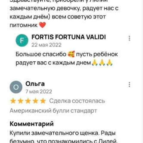 Отзывы. ПИТОМНИК СОБАК ПОРОДЫ АМЕРИКАНСКИЙ БУЛЛИ