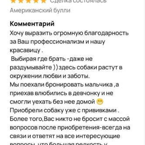 Отзывы. ПИТОМНИК СОБАК ПОРОДЫ АМЕРИКАНСКИЙ БУЛЛИ