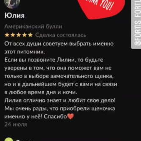 Отзывы. ПИТОМНИК СОБАК ПОРОДЫ АМЕРИКАНСКИЙ БУЛЛИ