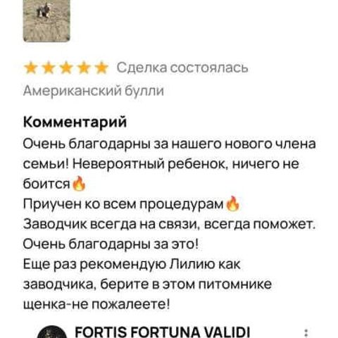 Отзывы. ПИТОМНИК СОБАК ПОРОДЫ АМЕРИКАНСКИЙ БУЛЛИ