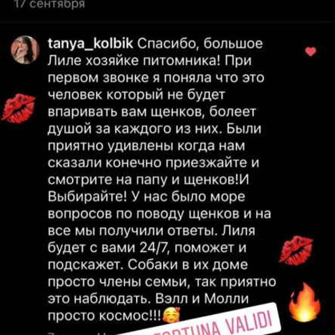 Отзывы. ПИТОМНИК СОБАК ПОРОДЫ АМЕРИКАНСКИЙ БУЛЛИ