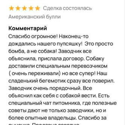 Отзывы. ПИТОМНИК СОБАК ПОРОДЫ АМЕРИКАНСКИЙ БУЛЛИ