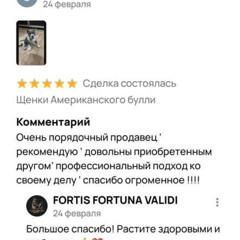 Отзывы. ПИТОМНИК СОБАК ПОРОДЫ АМЕРИКАНСКИЙ БУЛЛИ