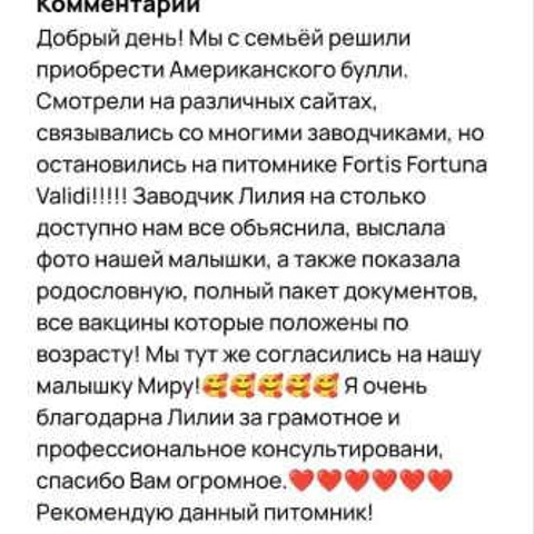 Отзывы. ПИТОМНИК СОБАК ПОРОДЫ АМЕРИКАНСКИЙ БУЛЛИ