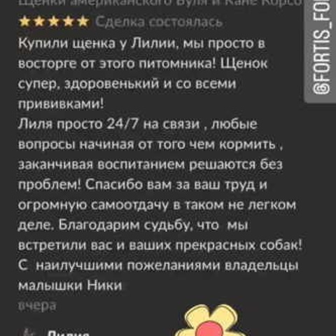 Отзывы. ПИТОМНИК СОБАК ПОРОДЫ АМЕРИКАНСКИЙ БУЛЛИ