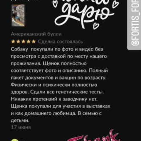 Отзывы. ПИТОМНИК СОБАК ПОРОДЫ АМЕРИКАНСКИЙ БУЛЛИ