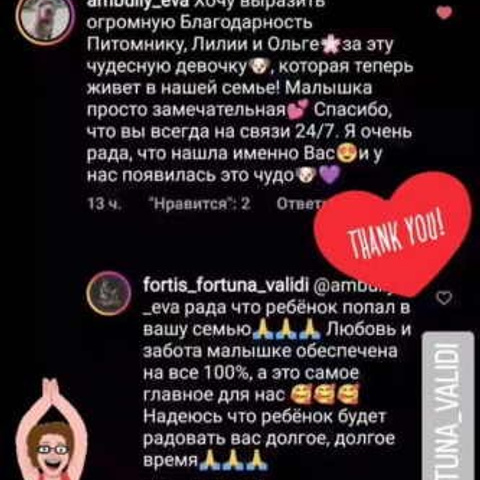 Отзывы. ПИТОМНИК СОБАК ПОРОДЫ АМЕРИКАНСКИЙ БУЛЛИ