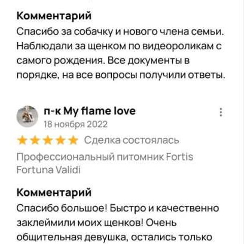 Отзывы. ПИТОМНИК СОБАК ПОРОДЫ АМЕРИКАНСКИЙ БУЛЛИ