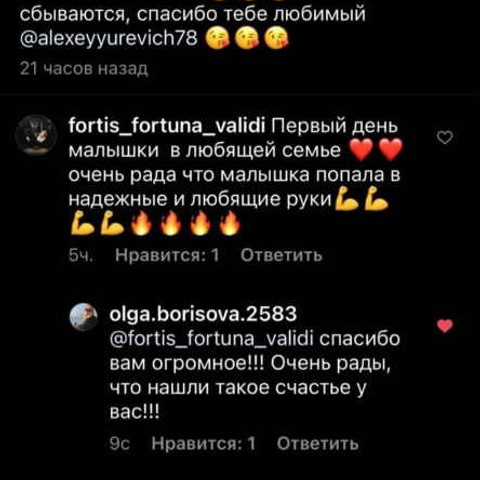 Отзывы. ПИТОМНИК СОБАК ПОРОДЫ АМЕРИКАНСКИЙ БУЛЛИ