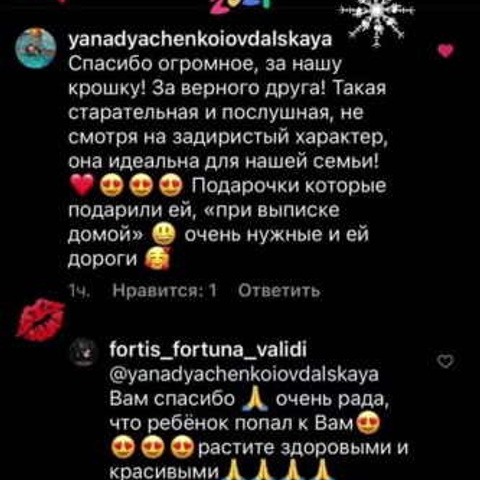 Отзывы. ПИТОМНИК СОБАК ПОРОДЫ АМЕРИКАНСКИЙ БУЛЛИ