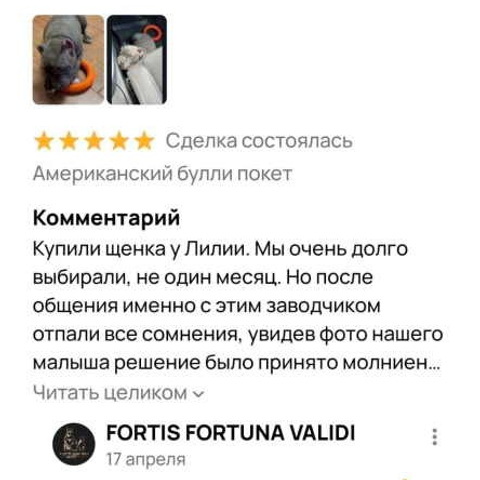 Отзывы. ПИТОМНИК СОБАК ПОРОДЫ АМЕРИКАНСКИЙ БУЛЛИ