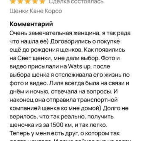 Отзывы. ПИТОМНИК СОБАК ПОРОДЫ АМЕРИКАНСКИЙ БУЛЛИ