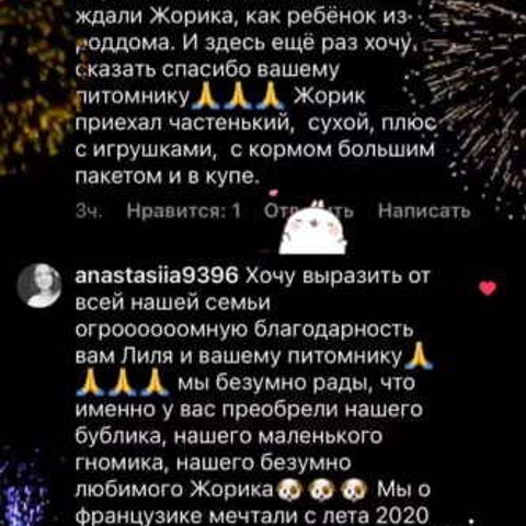 Отзывы. ПИТОМНИК СОБАК ПОРОДЫ АМЕРИКАНСКИЙ БУЛЛИ