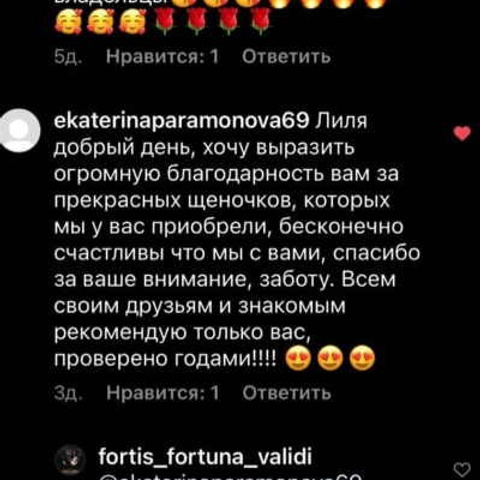 Отзывы. ПИТОМНИК СОБАК ПОРОДЫ АМЕРИКАНСКИЙ БУЛЛИ